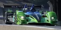 David Brabham