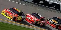 Bild zum Inhalt: Daytona-Sieg: Gordon vs. Busch oder Hendrick vs. Gibbs?
