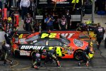 Jeff Gordon (Hendrick)  