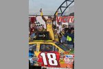 Kyle Busch (Gibbs)