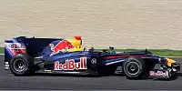 Bild zum Inhalt: Red Bull: Der RB5 wird wieder zum Knorpelfisch