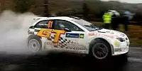 Niall McShea