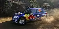 Bild zum Inhalt: P-WRC: Sandell siegt auch auf Zypern