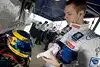 Bild zum Inhalt: Sebring-Tests: Peugeot schnell, Bourdais crasht