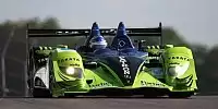 Bild zum Inhalt: St. Pete: Highcroft beschert Acura den ersten LMP1-Sieg