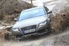 Bild zum Inhalt: Audi A4 Allroad Quattro: Tausendsassa