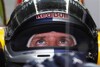 Bild zum Inhalt: Schlägt 2009 Vettels große Stunde?