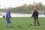 Arbeiter trimmen den Rasen