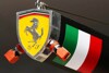 Bild zum Inhalt: Coulthard zur Ferrari-Krise: Abhilfe durch Alonso?