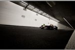 Neel Jani (Red Bull) 