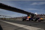 Neel Jani (Red Bull) 