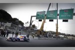 Neel Jani (Red Bull) 