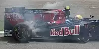 Bild zum Inhalt: Toro Rosso ortet mehr Potenzial