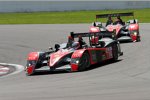  Narain Karthikeyan Audi 