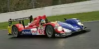 Stephane Ortelli, Bruno Senna