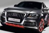 Bild zum Inhalt: Audi ist auf der Wörtherseetour vertreten
