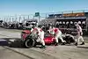 Bild zum Inhalt: Werden Sie Vodafone McLaren Mercedes Teammitglied!