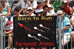 Ein Plakat für Fernando Alonso (Renault) 