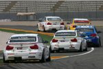 Andy Priaulx (BMW Team UK) 