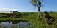 Bild zum Inhalt: Polen: Der Neuling mit der langen Tradition