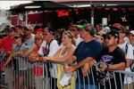 Fans in Daytona