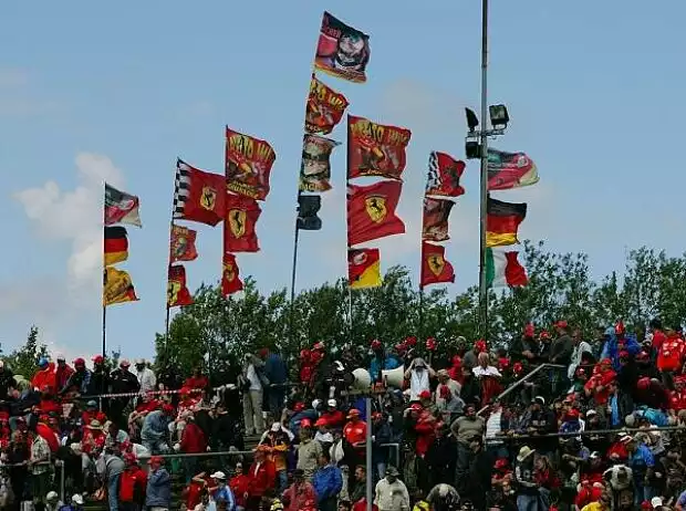 Fans und ihre Fahnen Titel-Bild zur News: Fans und ihre Fahnen