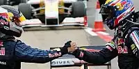 Bild zum Inhalt: Horner: Der RB6 wird ein Vettel-Auto