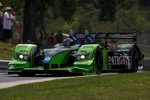Scott Sharp, David Brabham 