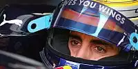Bild zum Inhalt: Toro Rosso machte den erhofften Sprung nach vorn