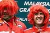 Bild zum Inhalt: Brawn sicher: Schumacher kann siegen