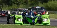 David Brabham, Scott Sharp