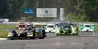 Simon Pagenaud, Gil de Ferran (Sportlicher Direktor)