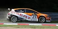 Tom Coronel