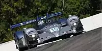 Bild zum Inhalt: ALMS in Mosport: De Ferran will kontern