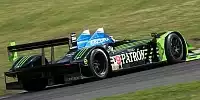 Bild zum Inhalt: Mosport: Brabham/Sharp mit Sieg auf Titelkurs