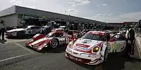 LMS-Starterfeld in Silverstone