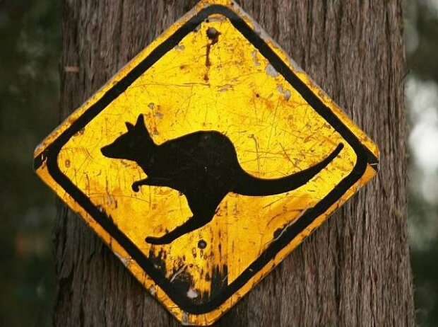 Titel-Bild zur News: Känguru-Warnschild