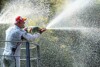 Barrichello freut sich auf "gesunden" WM-Kampf
