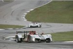  Lucas Luhr, Marco Werner (Audi Sport)
