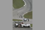  Allan McNish, Rinaldo Capello (Audi Sport)