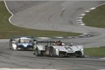  Allan McNish, Rinaldo Capello (Audi Sport)