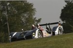  Allan McNish, Rinaldo Capello (Audi Sport)