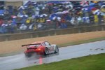 Bergmeister/Long/Lieb (Flying Lizard)