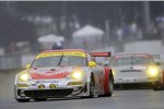 Bergmeister/Long/Lieb (Flying Lizard)