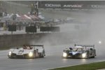  Allan McNish (Audi Sport), Nicolas Minassian (Peugeot)