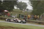  Allan McNish (Audi Sport)