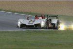  Lucas Luhr (Audi Sport)