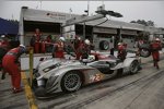  Allan McNish (Audi Sport)