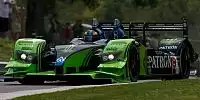 David Brabham, Scott Sharp
