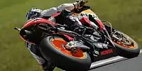 Daniel Pedrosa